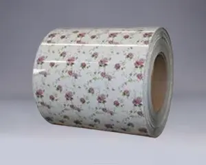 DX51D DX52D DX53D PPGI PPGL Сталева котушка